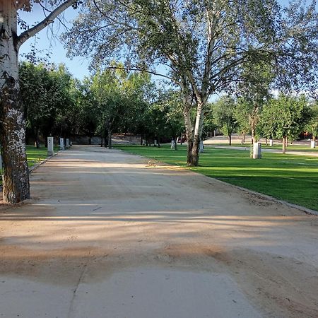 Complejo La Cigueena Arganda Del Rey Esterno foto