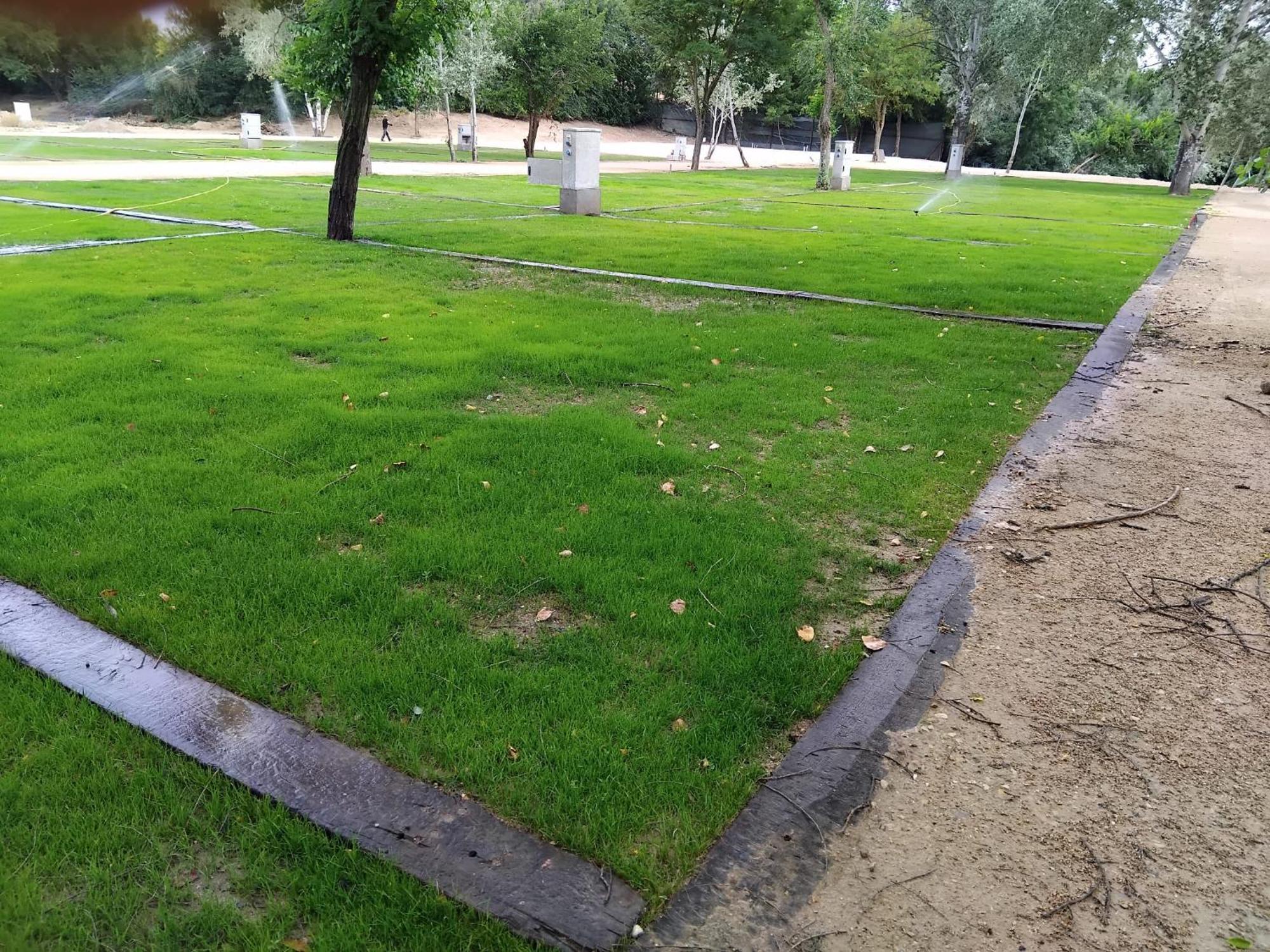 Complejo La Cigueena Arganda Del Rey Esterno foto